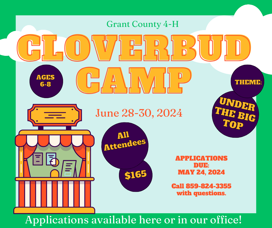 Cloverbud camp information