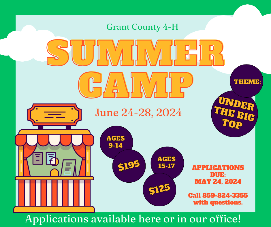 4-H Summer Camp Information
