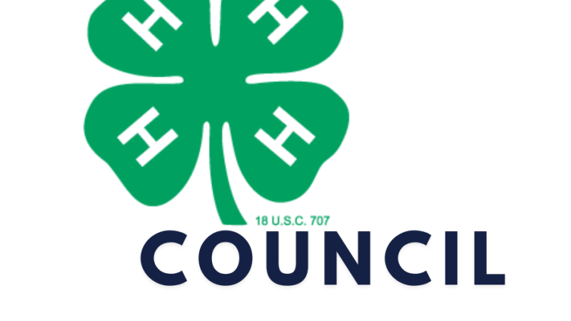 4-H Council 1